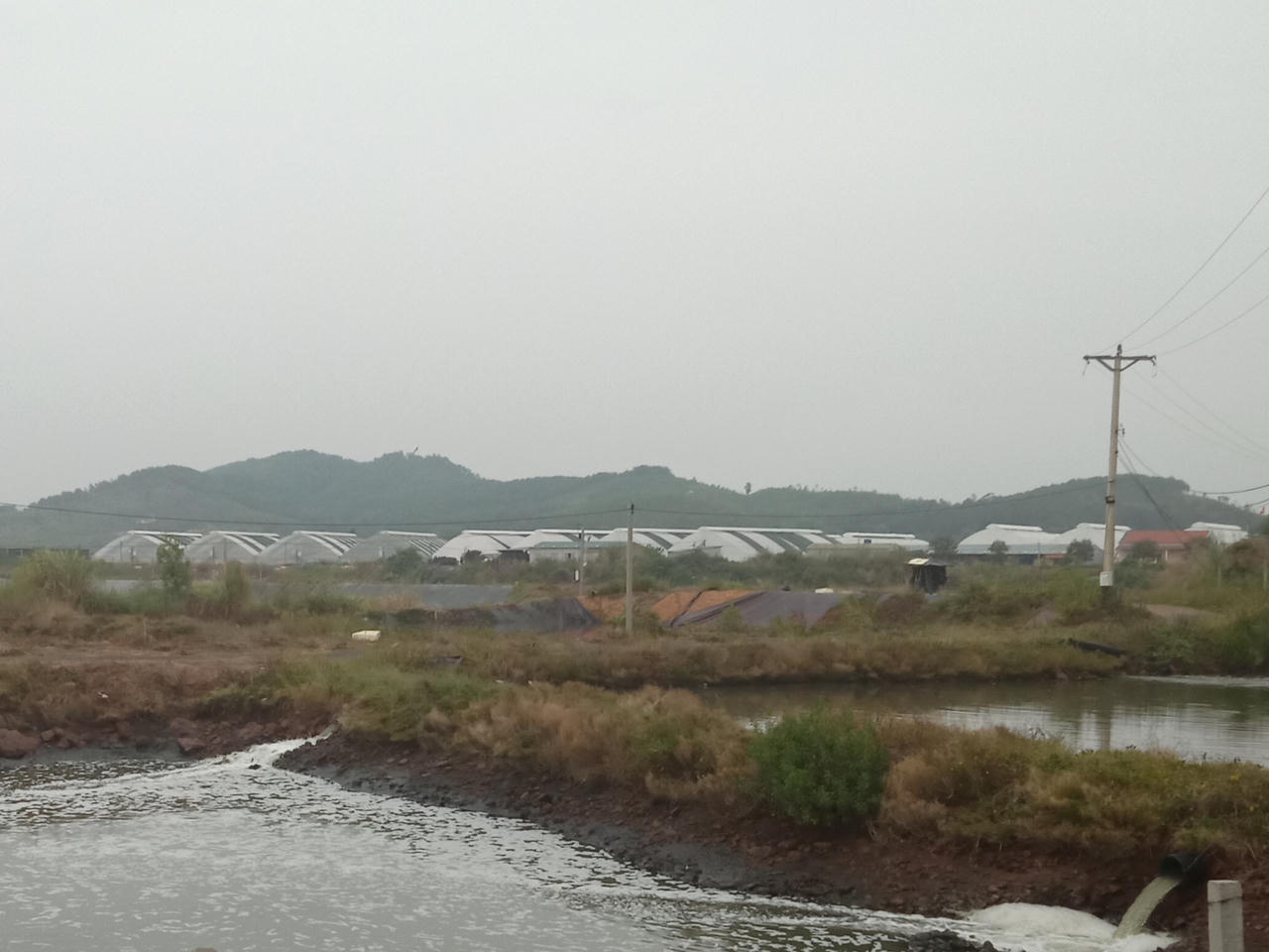 Phát hoảng vì ô nhiễm môi trường từ Dự án nuôi tôm của Tập đoàn BimGroup