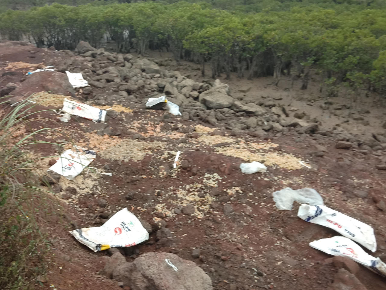 Tập đoàn BimGroup xả thải ô nhiễm ra môi trường biển: Yêu cầu giám đốc Công ty có mặt tại Phòng Cảnh sát môi trường