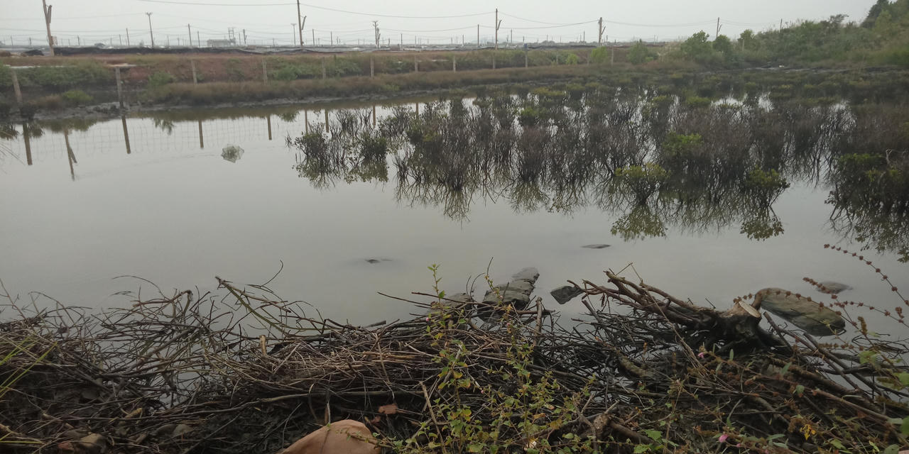 Sở TN&MT tỉnh Quảng Ninh:  Dự án nuôi tôm thuộc Tập đoàn BimGroup chưa có giấy phép xả thải