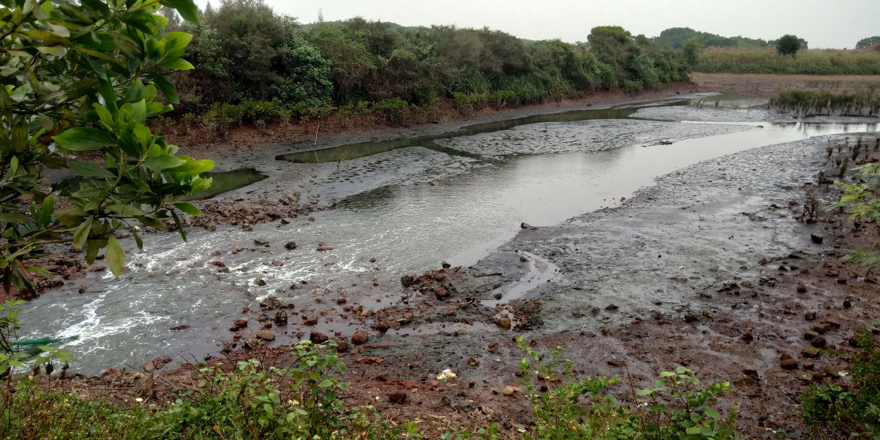 Dự án nuôi tôm thuộc Tập đoàn BimGroup: Sử dụng đất sai mục đích?