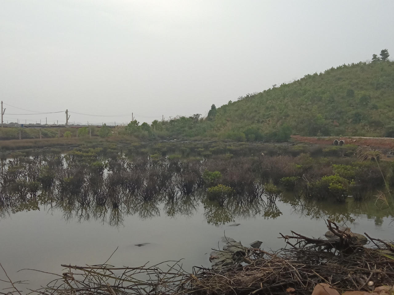 Dự án nuôi tôm thuộc Tập đoàn BimGroup: Sử dụng đất sai mục đích?