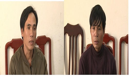 Hai anh em rủ nhau gây loạt vụ trộm 