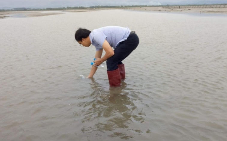 2.000 tấn ngao, nghêu chết ở Quảng Ninh chưa rõ nguyên nhân