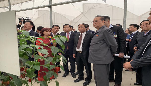 Phái đoán cấp cao của Triều Tiên thăm tổ hợp sản xuất ô tô Vinfast tại Hải Phòng