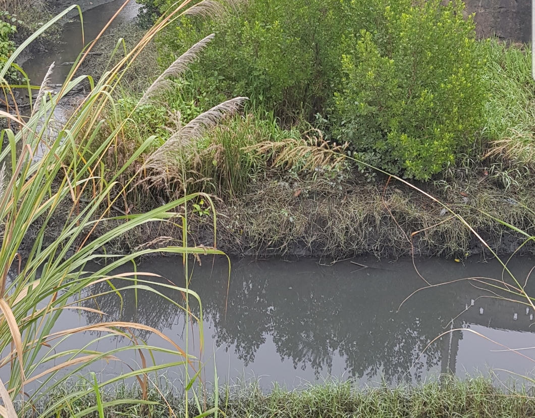 Chống “lệnh” của tỉnh Quảng Ninh, Cty Thiên Thuận Tường chưa chịu di dời dự án nuôi lợn