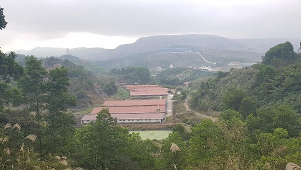 Chống “lệnh” của tỉnh Quảng Ninh, Cty Thiên Thuận Tường chưa chịu di dời dự án nuôi lợn