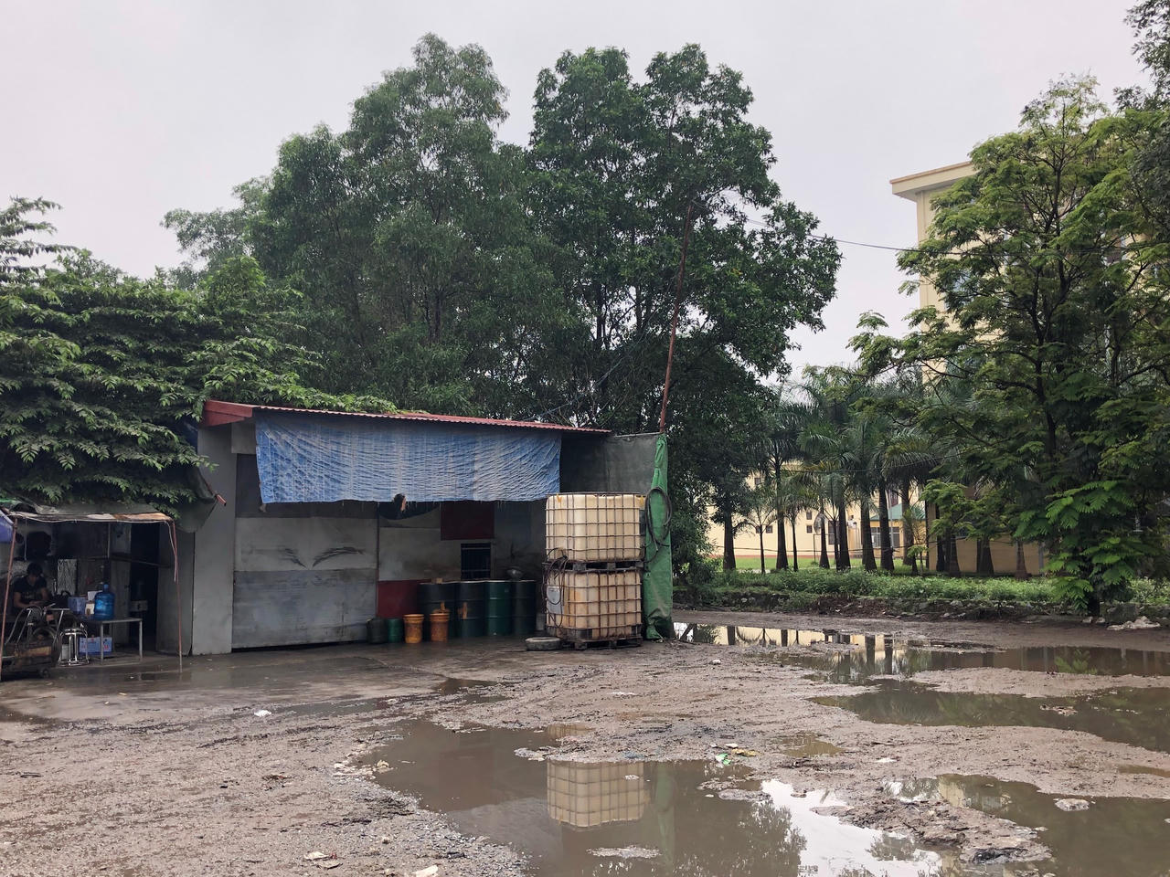 Cần xử lý dứt điểm “khu ổ chuột” ngay trước cửa trường Cao đẳng du lịch Hải Phòng