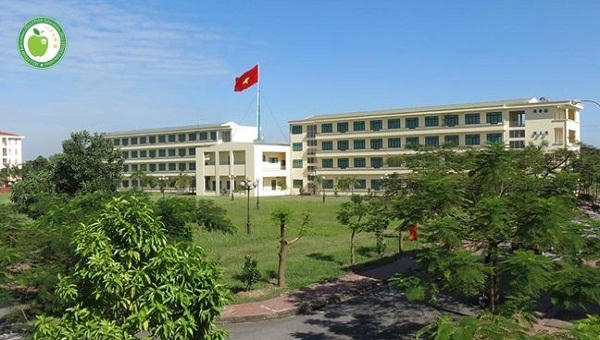 Cần xử lý dứt điểm “khu ổ chuột” ngay trước cửa trường Cao đẳng du lịch Hải Phòng