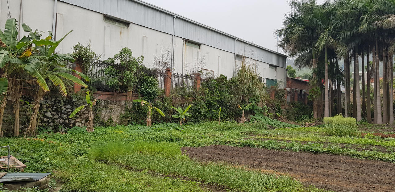 Quảng Ninh: Chưa đủ điểu kiện hoạt động, điểm du lịch Mỹ Ngọc ngang nhiên đón khách Châu Âu