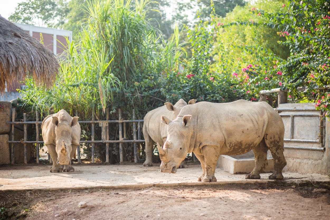 Tập đoàn Mường Thanh phá kỷ lục chuỗi khách sạn tư nhân lớn nhất Đông Dương