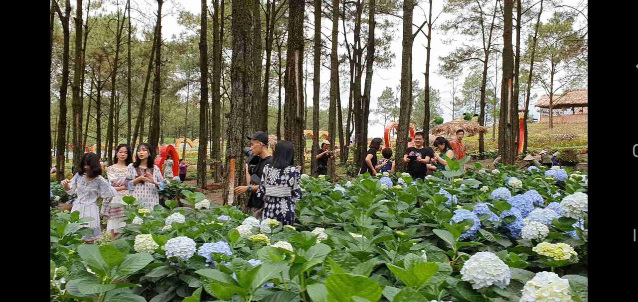 Công viên hoa Hồ Yên Trung: Điểm “check –in” lý tưởng tại TP Uông Bí