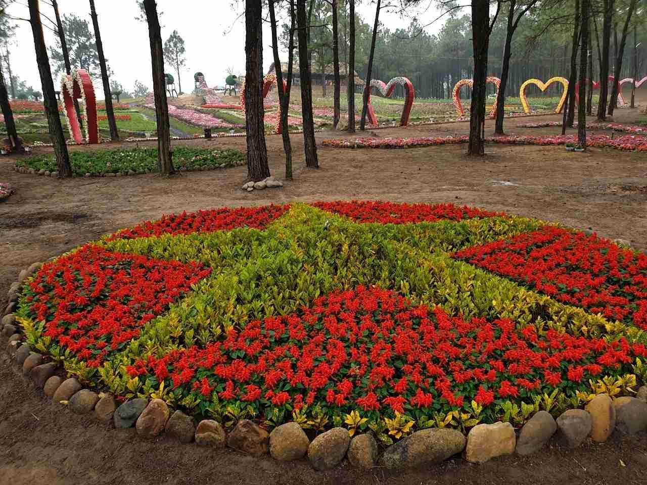 Công viên hoa Hồ Yên Trung: Điểm “check –in” lý tưởng tại TP Uông Bí