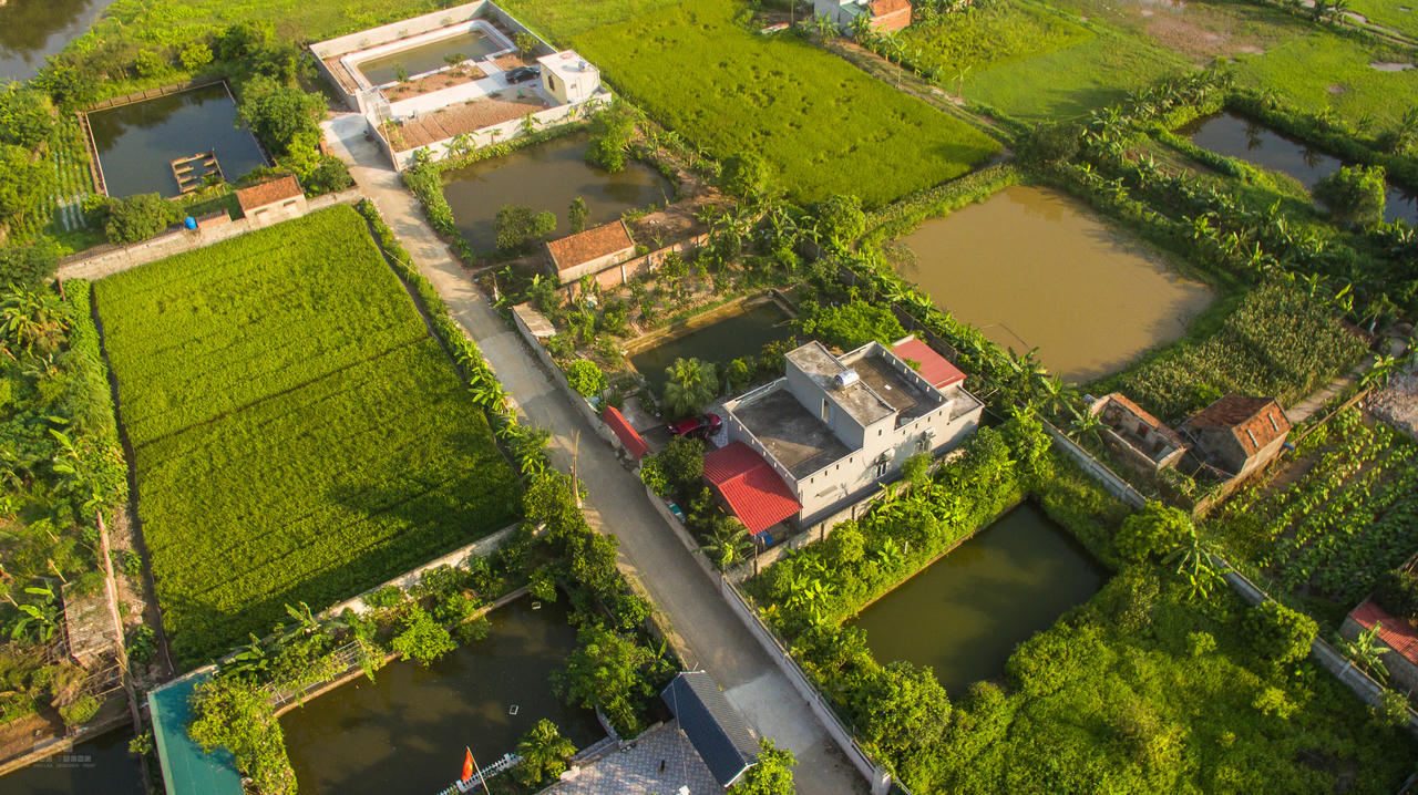TP Thái Bình: Dự án đất nông nghiệp chuyển đổi “biến mất”; biệt thự, nhà tầng không phép đua nhau “mọc” lên