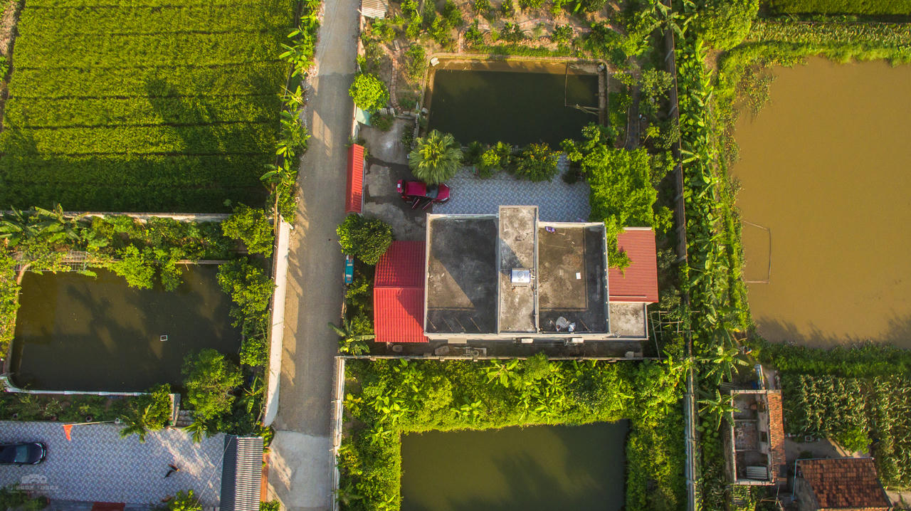 TP Thái Bình: Dự án đất nông nghiệp chuyển đổi “biến mất”; biệt thự, nhà tầng không phép đua nhau “mọc” lên