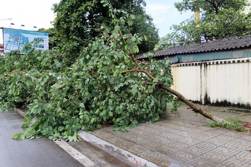 Mưa lũ trên sông biên giới khiến một người mất tích, hàng chục đò sắt bị đắm