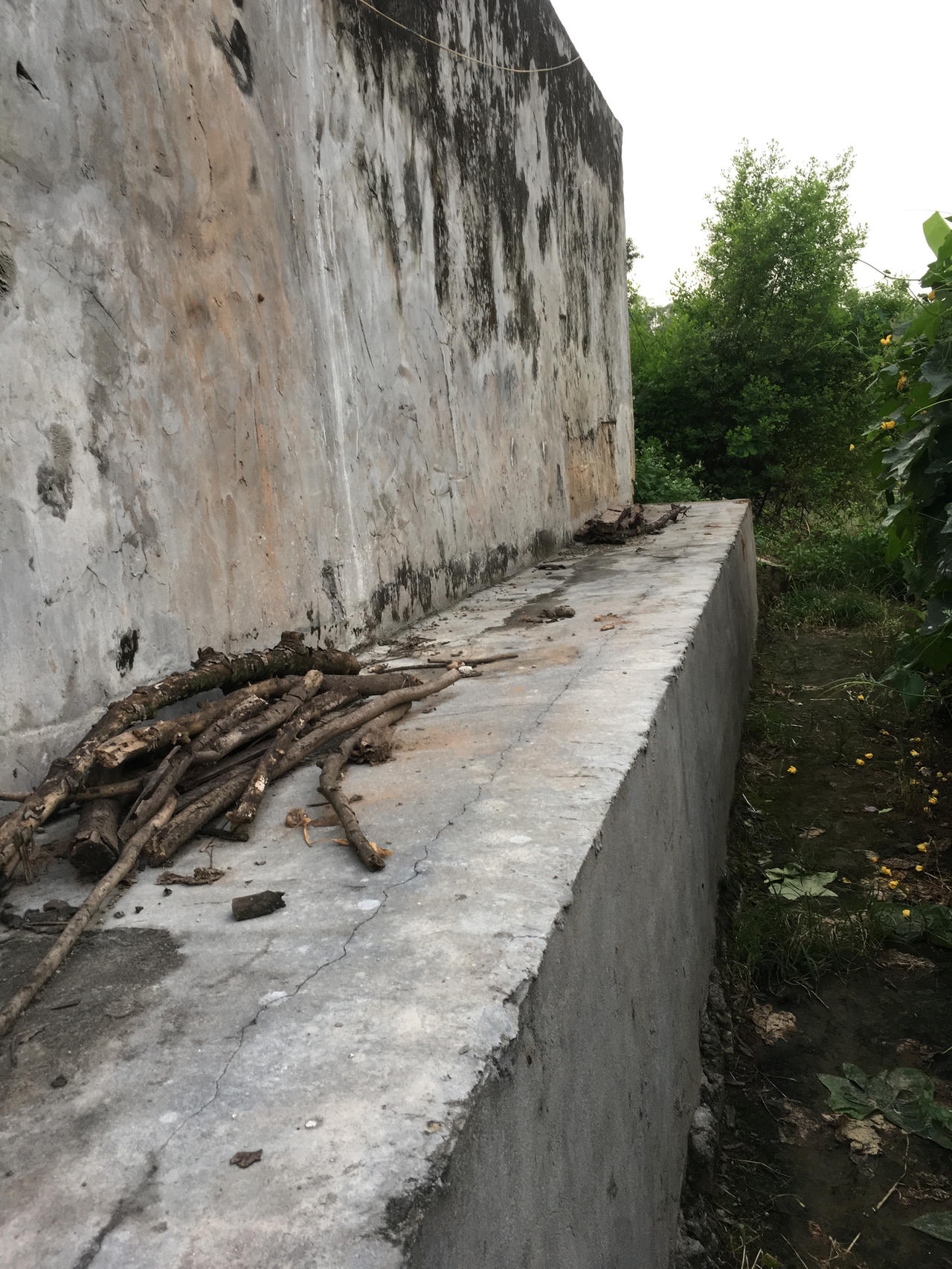 Hải Dương: Nhà máy chế biến thực phẩm xuất khẩu bị “tố” ngang nhiên hoạt động, vận chuyển lợn, sản phẩm lợn ra vào vùng dịch