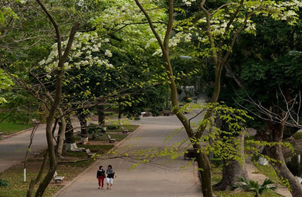 Top 3  công viên giải nhiệt mùa hè tại ở Hà Nội 