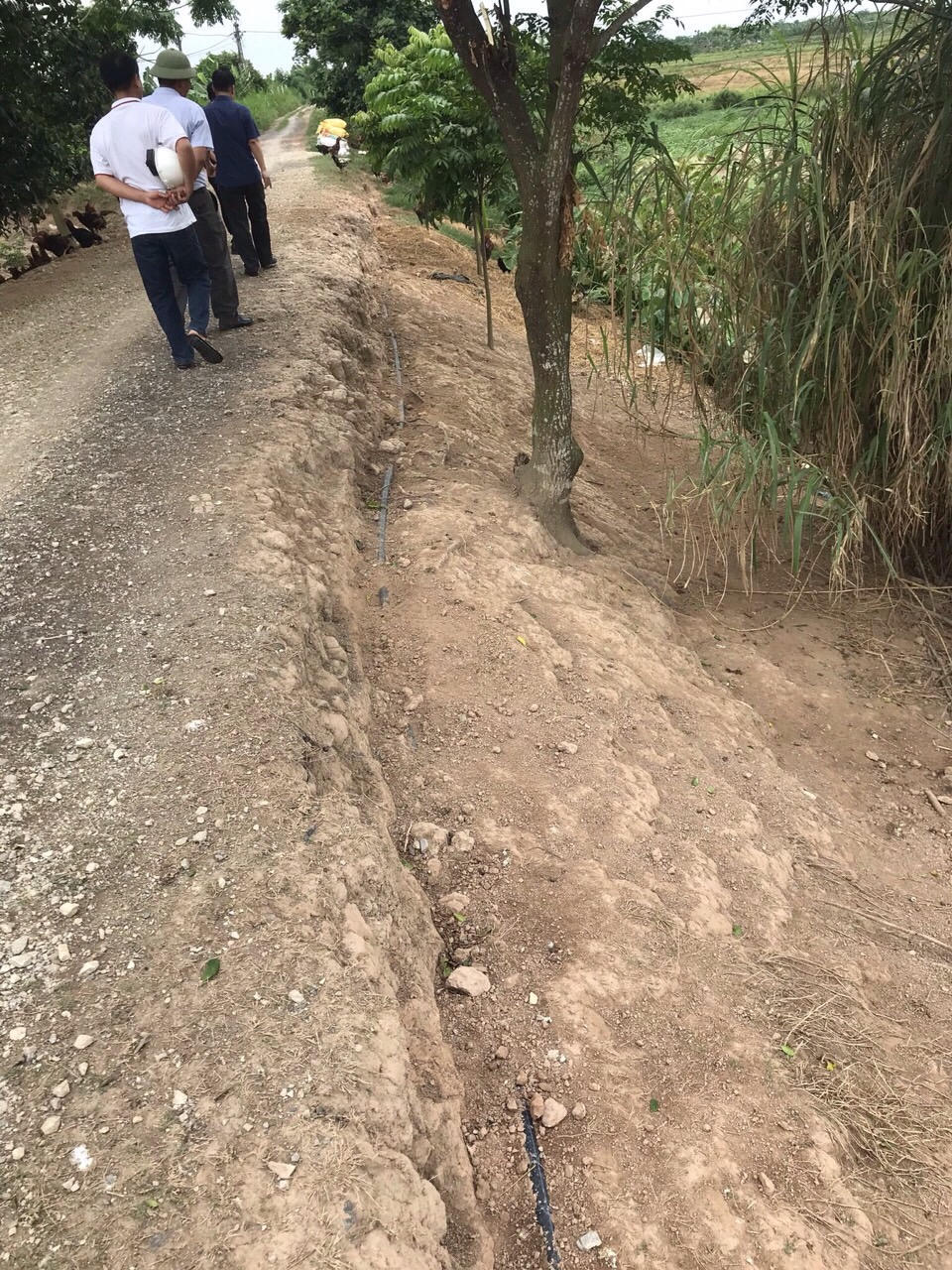 Công ty cổ phần nước sạch và vệ sinh nông thôn tỉnh Hải Dương có khắc phục vi phạm?