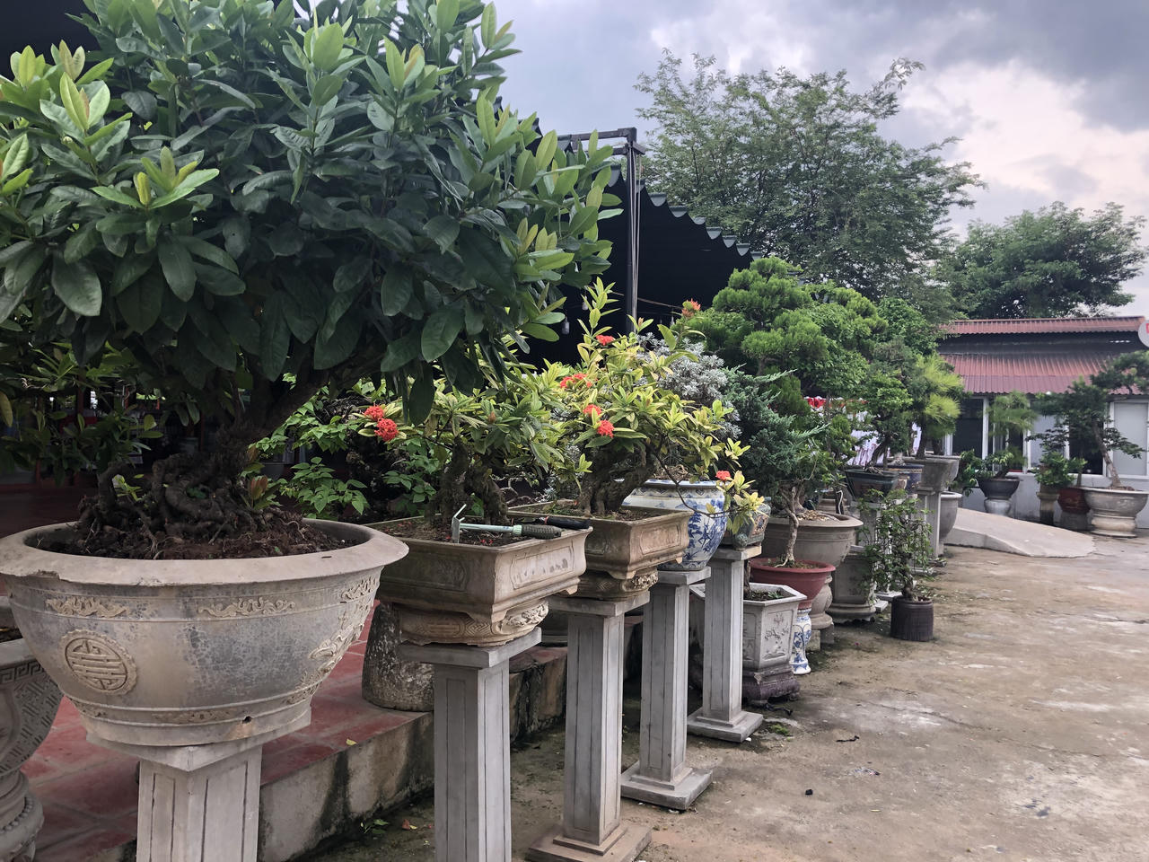 Đầu bếp 8X Hải Phòng kể chuyện về nồi bánh đa cua xác lập kỷ lục lớn nhất Việt Nam