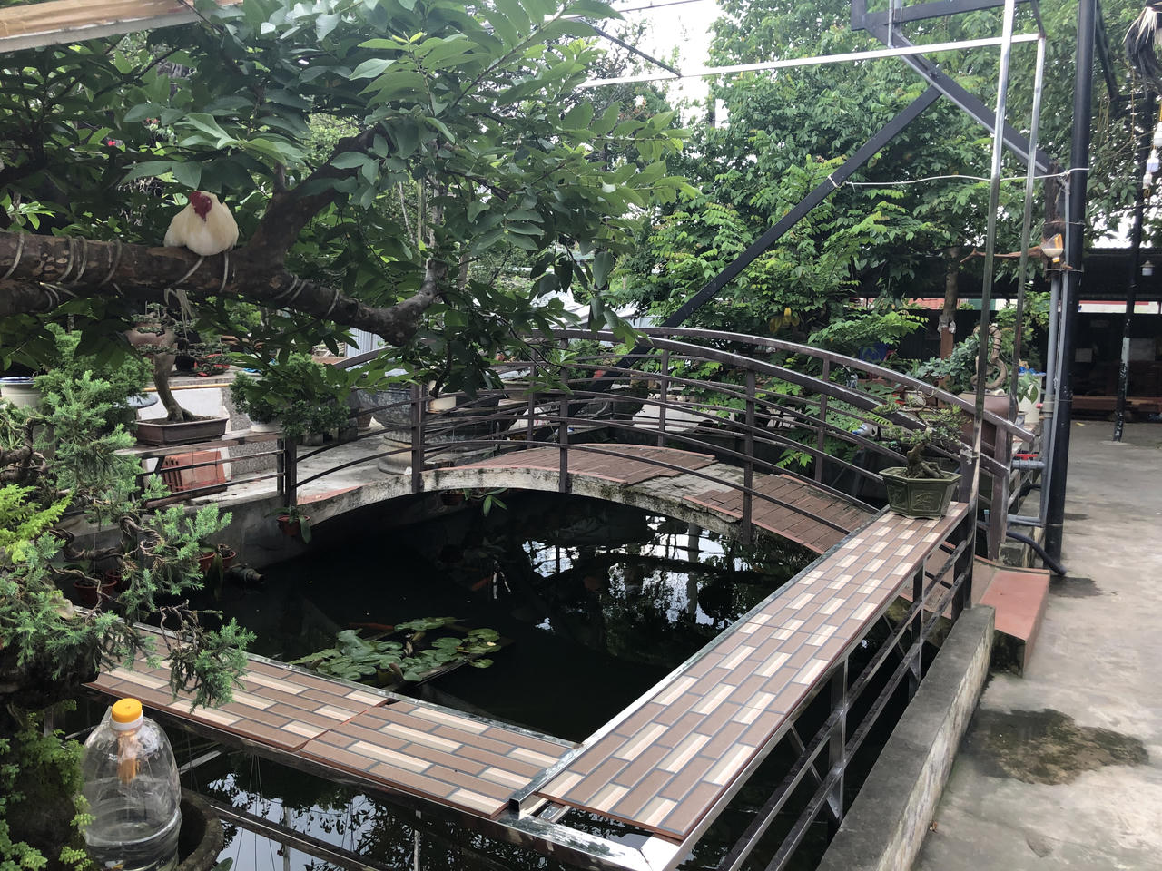 Đầu bếp 8X Hải Phòng kể chuyện về nồi bánh đa cua xác lập kỷ lục lớn nhất Việt Nam