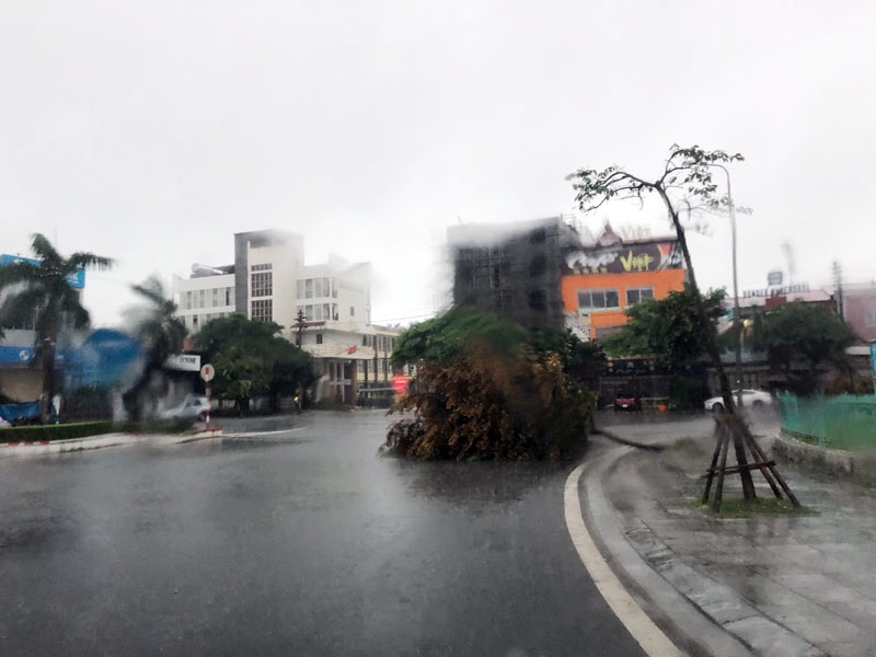 Lũ dâng cao trên sông Ka Long, cây đổ, nước ngập nhiều tuyến phố Móng Cái 