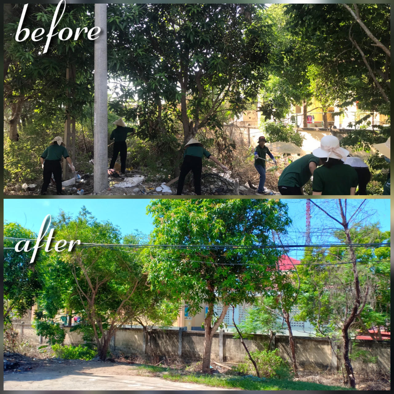 Nhân viên khách sạn Mường Thanh cả nước đi dọn rác