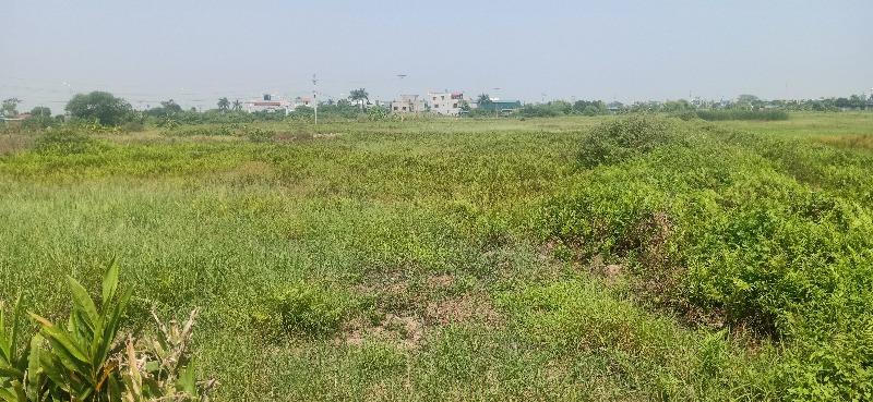 Khởi tố vụ án, khởi tố bị can về hành vi “Giả mạo trong công tác”