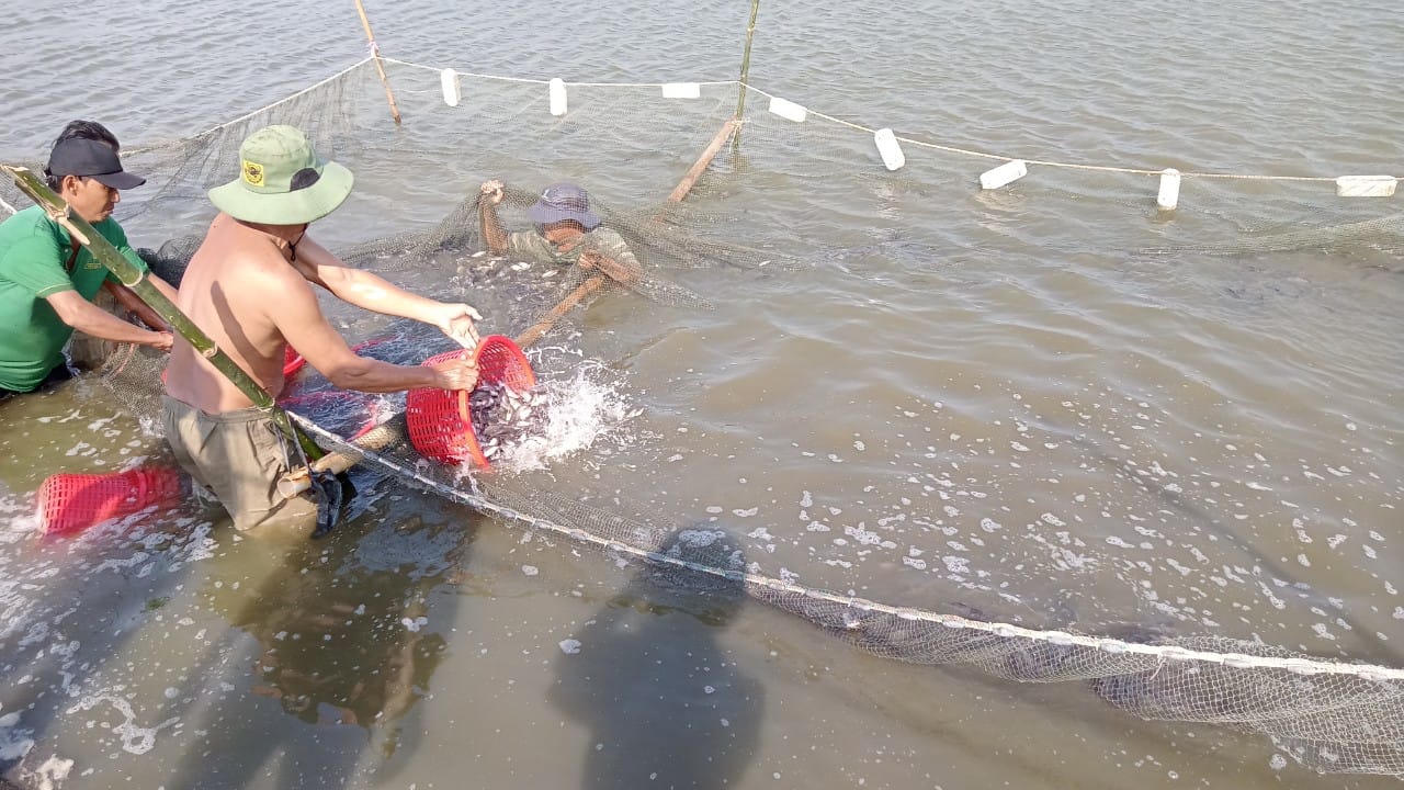 Huyện Tân Trụ, tỉnh Long An: Tổng thu năm 2024 quyết tâm vượt so với dự toán