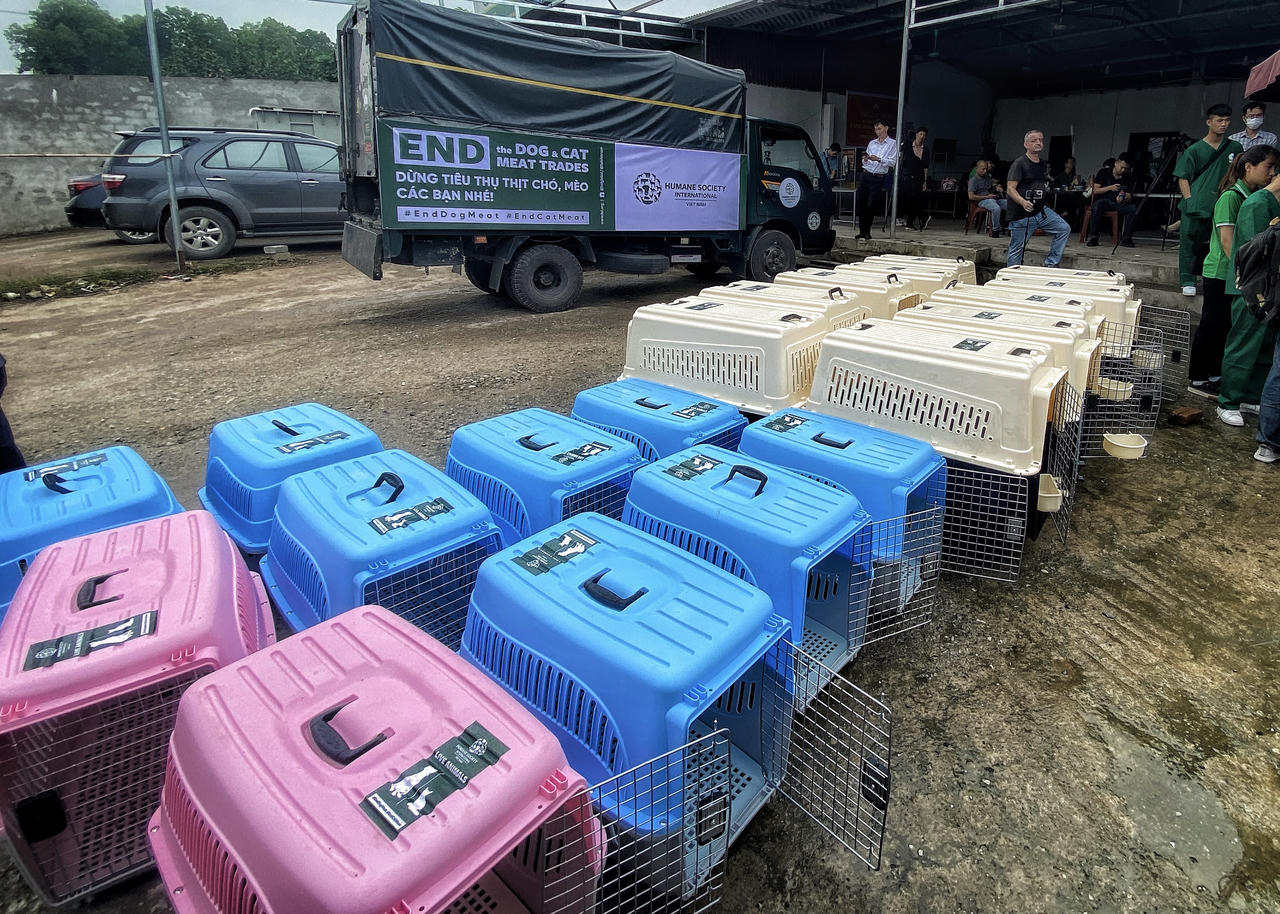 Đóng cửa nhà hàng và cơ sở giết mổ thịt chó đầu tiên tại Việt Nam