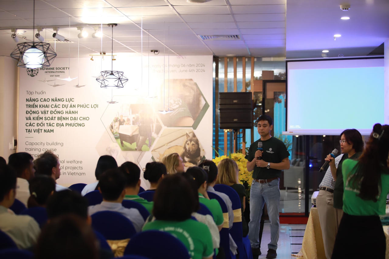 Viết tiếp hành trình giải cứu chó mèo cùng chương trình 'Mô hình chuyển đổi'