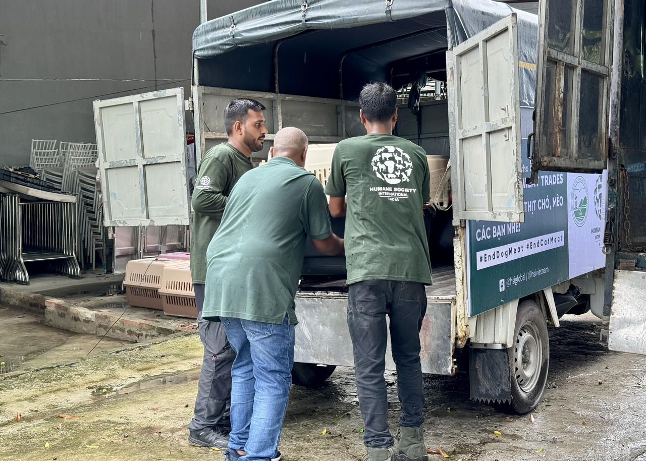 Viết tiếp hành trình giải cứu chó mèo cùng chương trình 'Mô hình chuyển đổi'