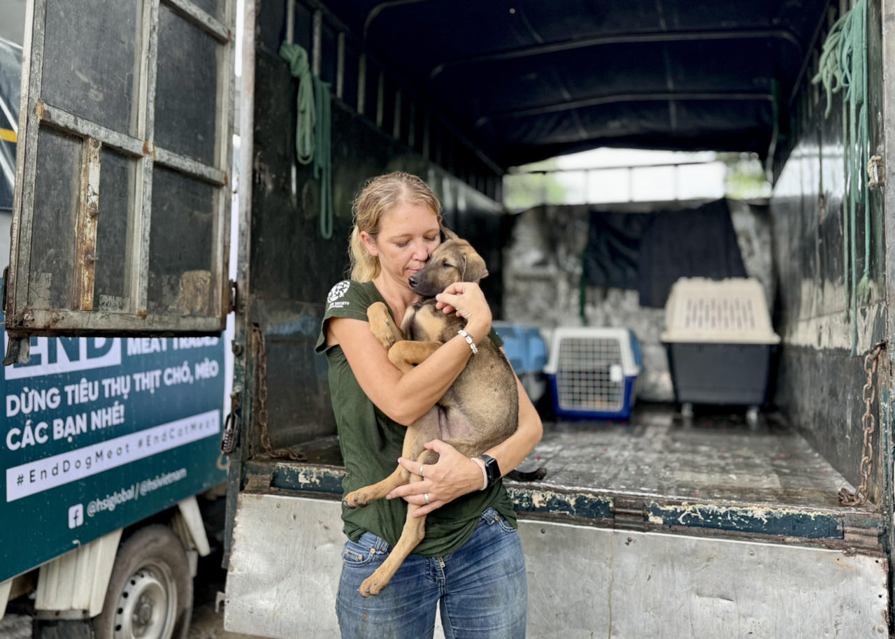 Viết tiếp hành trình giải cứu chó mèo cùng chương trình 'Mô hình chuyển đổi'