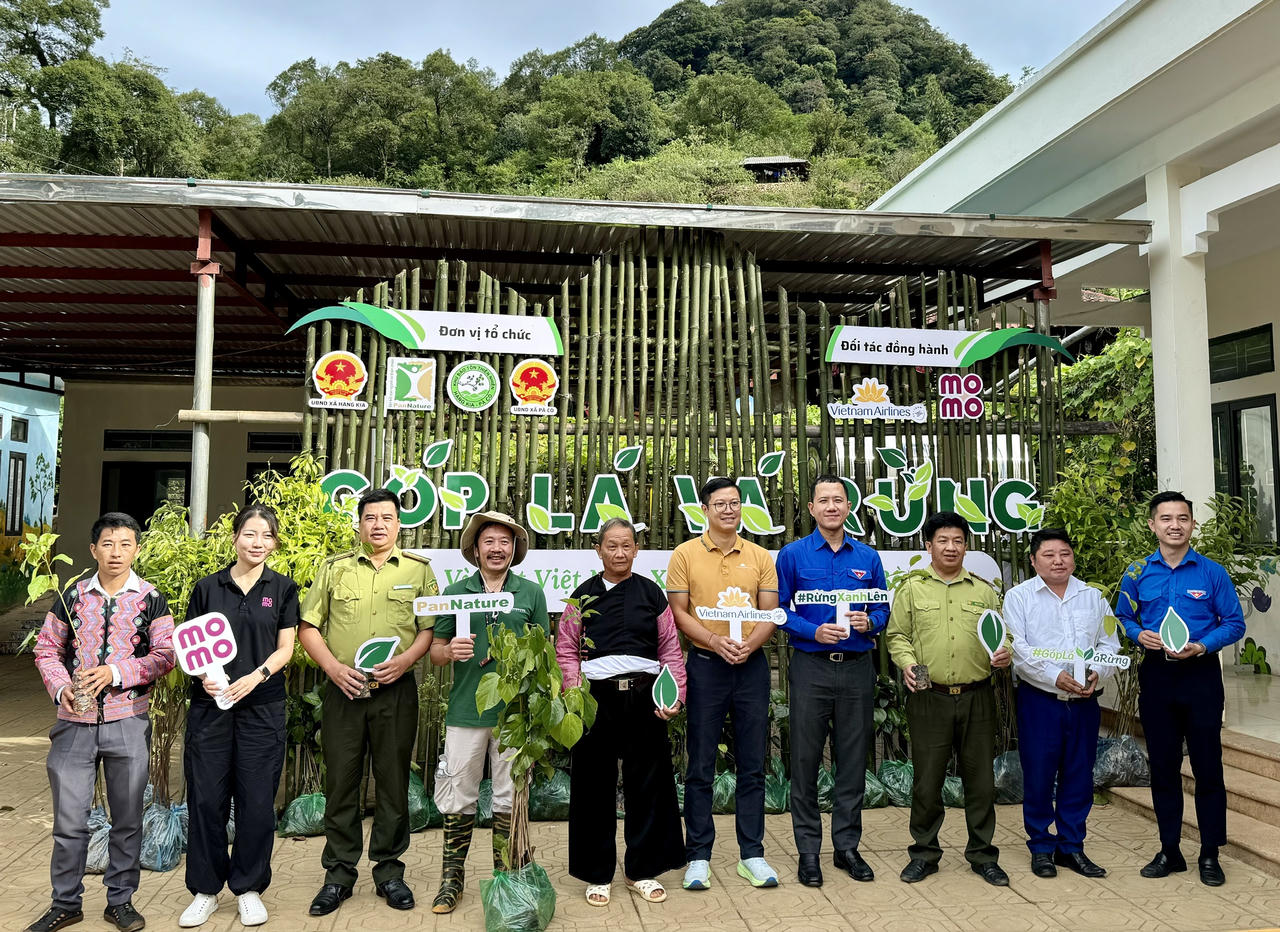Trồng 18.000 cây vá, phủ 27 hecta rừng Tây Bắc