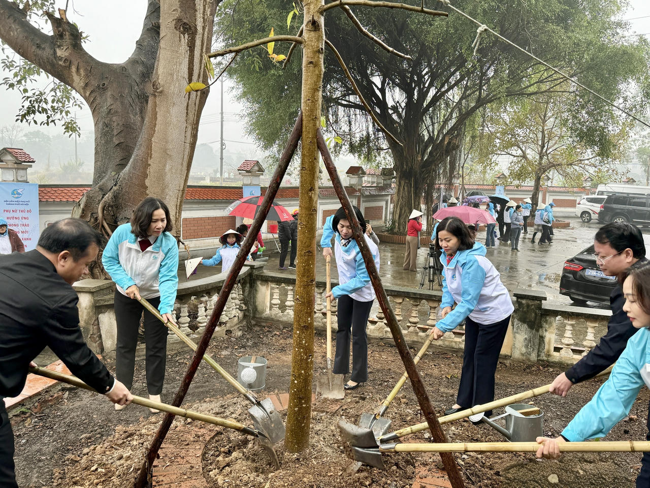Phụ nữ Thủ đô phát động Tết trồng cây Xuân Ất Tỵ 2025