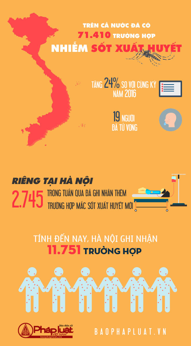 Infographic: Báo động: đã có tới 71.000 ca mắc sốt xuất huyết