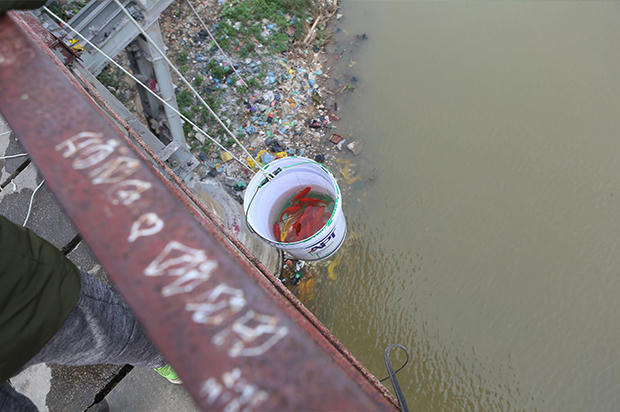 Nhiều tình nguyện viên hướng dẫn người dân thả cá chép tiễn ông Táo