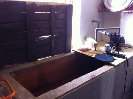 Người dân quanh nghĩa trang Văn Điển “chết khát“ cạnh trạm nước sạch 6 tỷ