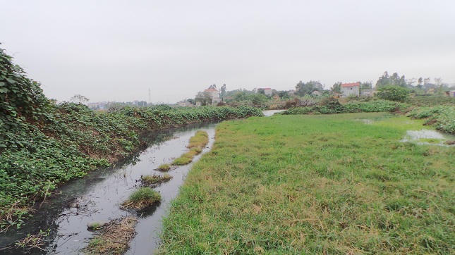 Người dân bỏ ruộng vì công ty sản xuất gạch men