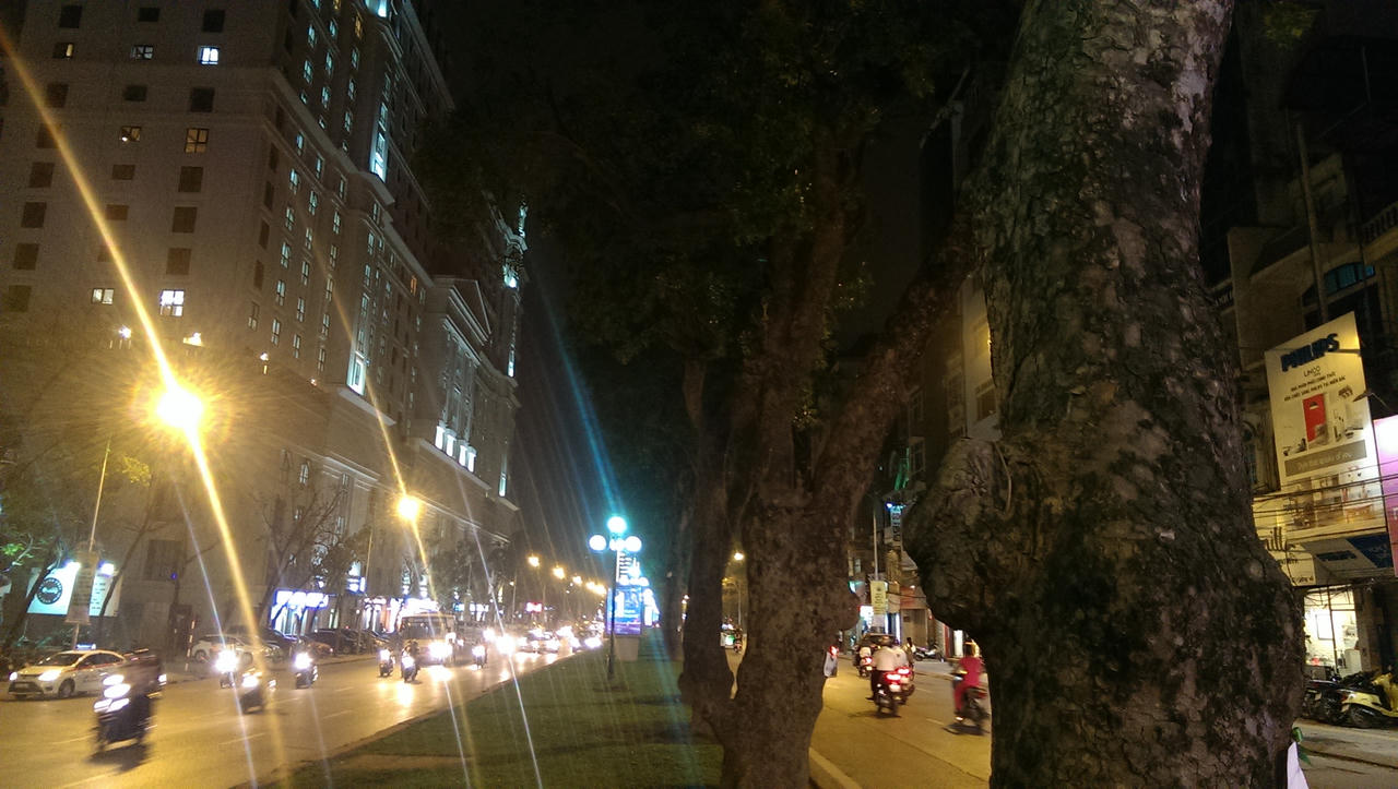 Người trẻ dán thông điệp lên hàng trăm cây xà cừ cổ trên đường Giảng Võ