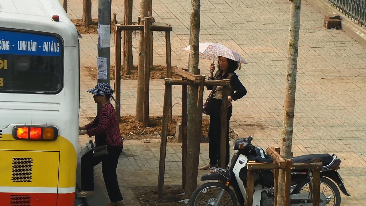 Con đường đẹp nhất Việt Nam lạ lẫm sau khi đốn hạ cây xanh