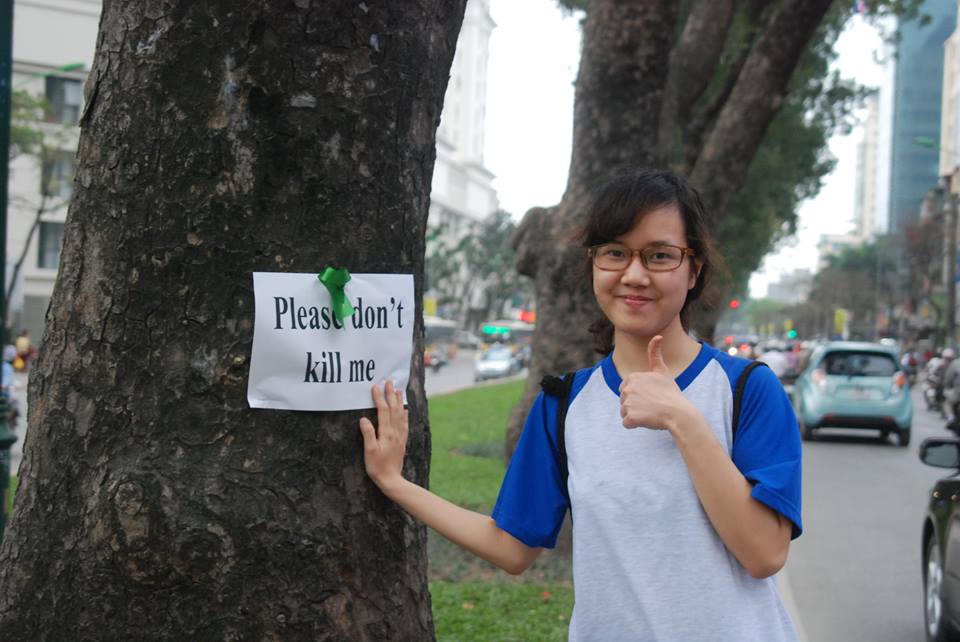 Người trẻ dán thông điệp lên hàng trăm cây xà cừ cổ trên đường Giảng Võ