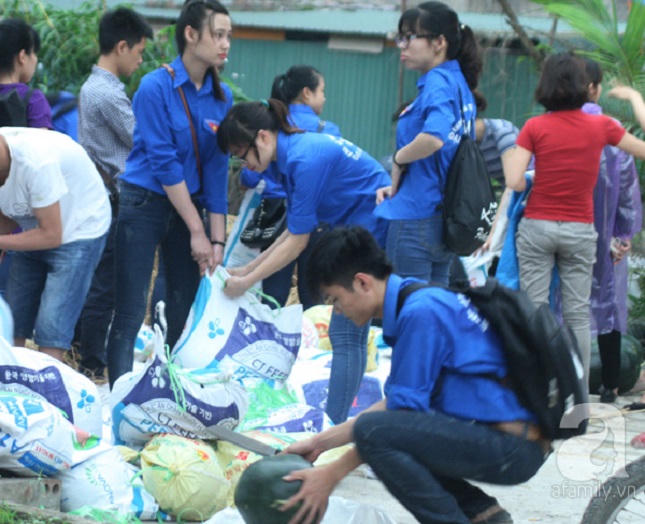 Hà Nội thu mua hàng chục tấn dưa hấu ủng hộ nông dân Quảng Nam