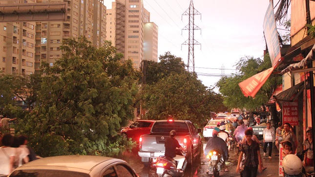 Hà Nội ngổn ngang cây đổ sau cơn giông mạnh bất ngờ