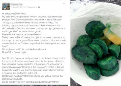 Singapore phản hồi thông tin khoai lang VN chuyển màu xanh do dioxin