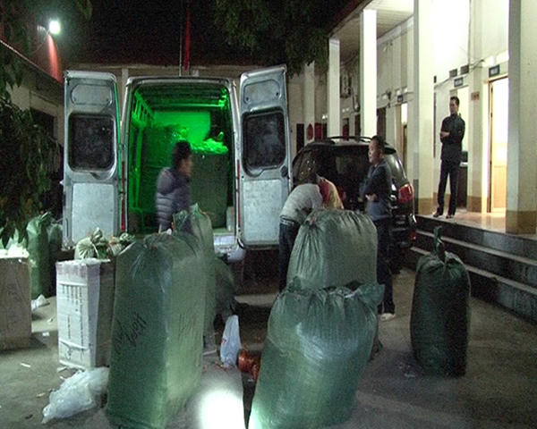 Xe khách lén lút vận chuyển hàng nghìn hộp mỹ phẩm lậu