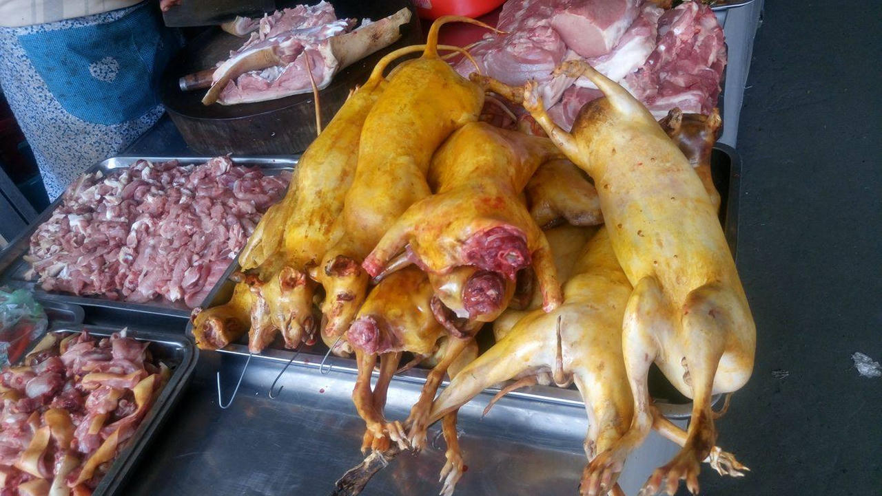 Cảnh tượng phản cảm ngày khai hội chùa Hương