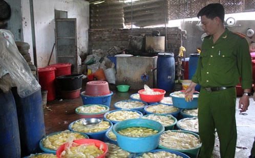 Nghệ An phát hiện 24 tấn măng tươi ngâm hóa chất