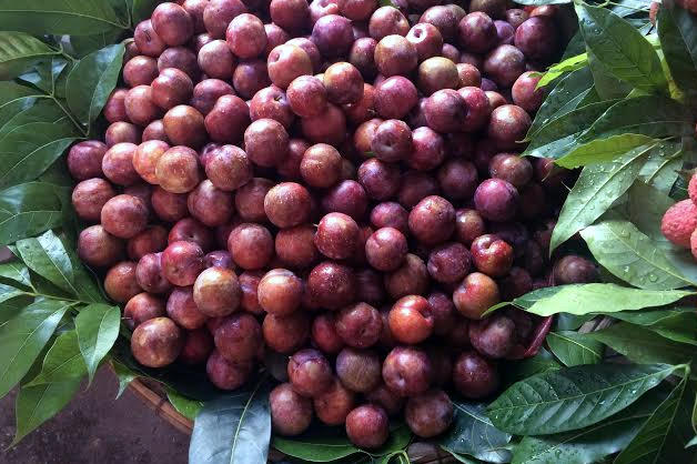 Người Hà Nội nao nức dậy sớm sắm Tết Đoan Ngọ