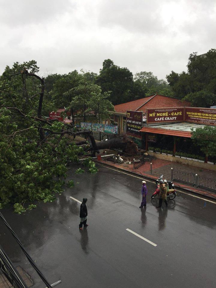 CSGT Hà Nội huy động 100% lực lượng, phương tiện chống bão