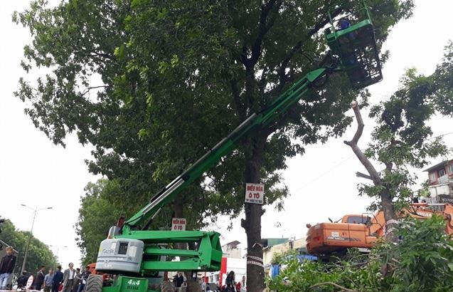 Hà Nội: Di chuyển, chặt hạ gần 1300 cây xanh trên đường Phạm Văn Đồng